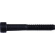 Dial 911 ICS Compression Bolt 50mm 2019