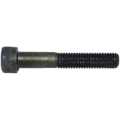Dial 911 Standard Axle 2019