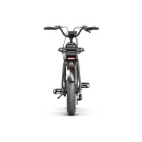 Electric Bike Elwing E-Bike Yuvy 2020 