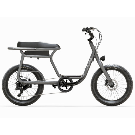 Electric Bike Elwing E-Bike Yuvy 2020 
