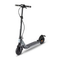 Elektroroller Micro Merlin (Incl. Safety Package) 2023