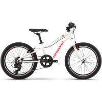 Haibike Seet Greedy Life 20 Vélos Complets 2020 - Urbain