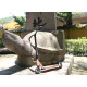 Stuntroller Longway Metro Pro 2023