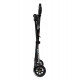 Micro Trike 2020