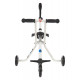 Micro Trike 2020