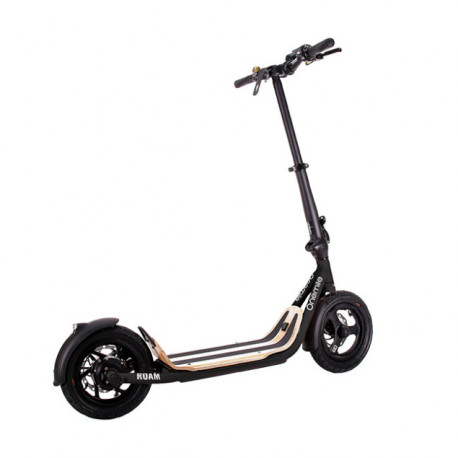 Onemile Elektro Roller B12 Roam 48V - 16Ah 2022