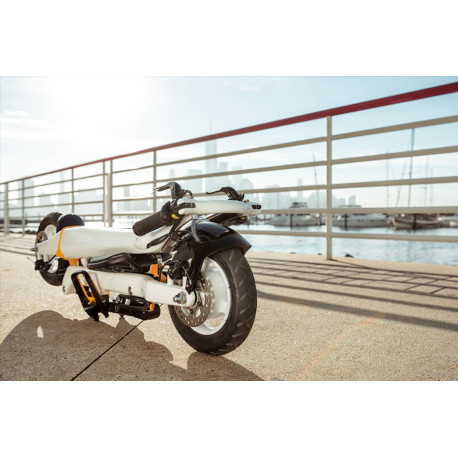 Electric Scooter Onemile Halo City White 36V - 8.7Ah 2019  - Electric Scooters