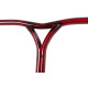 Raptor Remi Bar 680x620 2019