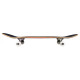 Skateboard Birdhouse Stage 1 Triple Stack 8'' - Complete 2022