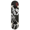 Skateboard Completes Birdhouse Stage 3 Falcon 1  8.125'' 2022 