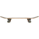 Skateboard Globe Celestial Growth Mini 7.0'' -Brown- Complete 2021