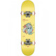 Skateboard Globe Kids Environmentalist Micro 6.5''- Starfish- Complete 2023