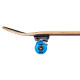 Skateboard Complètes Tony Hawk Diving Hawk 7.75" SS 180 2023