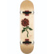 Skateboard Globe G2 Bloom 8.0'' - Natural - Complete 2021
