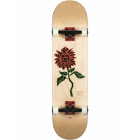 Skateboard Globe G2 Bloom 8.0'' - Natural - Complete 2021