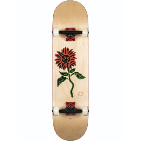Skateboard Globe G2 Bloom 8.0'' - Natural - Complete 2021