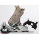 Chaussures de Ski Dahu Ecorce 01 W110 Grey 2023 