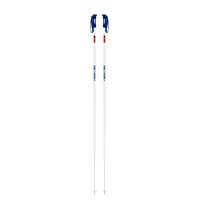 Bâtons de Ski Faction Candide White 2021 - Bâtons de ski