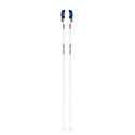 Bâtons de Ski Faction Candide White 2021