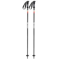 Ski Pole Faction Candide Black 2020