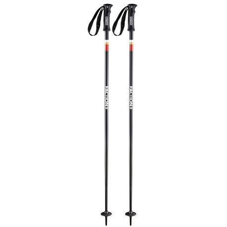 Bâtons de Ski Faction Candide Black 2020