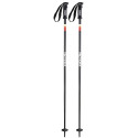Bâtons de Ski Faction Candide Black 2020