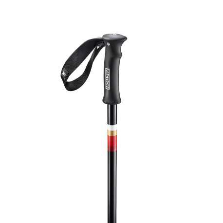 Bâtons de Ski Faction Candide Black 2020