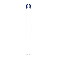 Bâtons de Ski Faction Candide Blue 2021