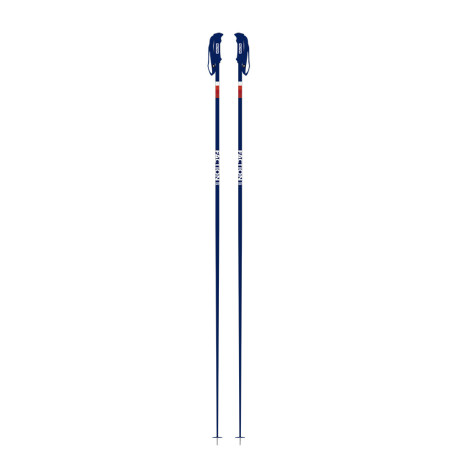 Bâtons de Ski Faction Candide Blue 2021