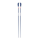 Bâtons de Ski Faction Candide Blue 2021
