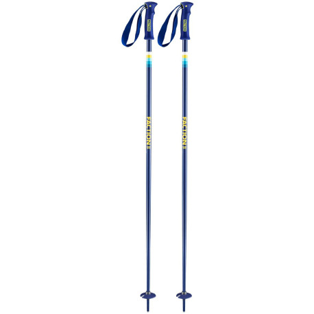 Bâtons de Ski Faction Candide Blue 2020