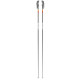 Ski Pole Faction Candide Grey 2021