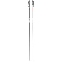 Bâtons de Ski Faction Candide Grey 2021