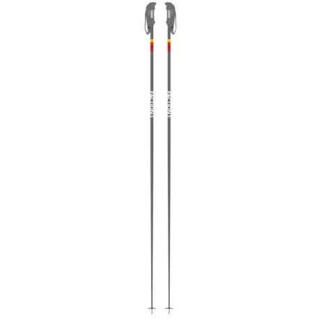 Bâtons de Ski Faction Candide Grey 2021