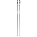 Ski Pole Faction Candide Grey 2021