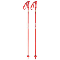 Bâtons de Ski Faction Candide Red 2020