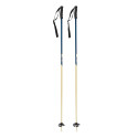 Bâtons de Ski Faction Candide Thovex Blue/Beige W 2019