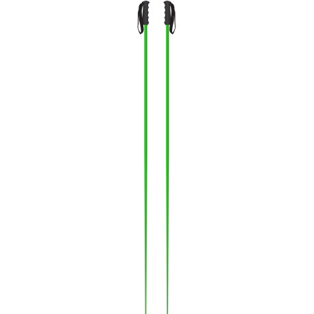 Bâtons de Ski Faction DICTATOR Green W 2019