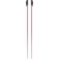 Bâtons de Ski Faction DICTATOR Pink W 2019