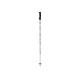 Ski Pole K2 Style Aluminum 2025 