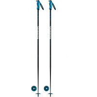Skistöcke Rossignol Electra Carbon 2019