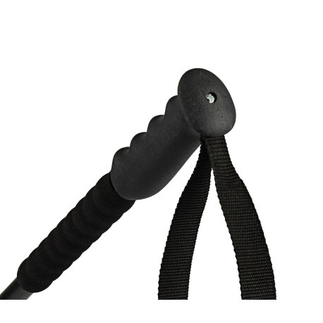 Bâtons de Ski Head Kore Black 2020