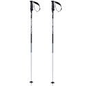 Bâtons de Ski Volkl Phantastick 2 Poles Black 2018