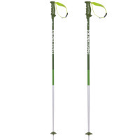 Bâtons de Ski Volkl Phantastick 2 Poles Green 2018