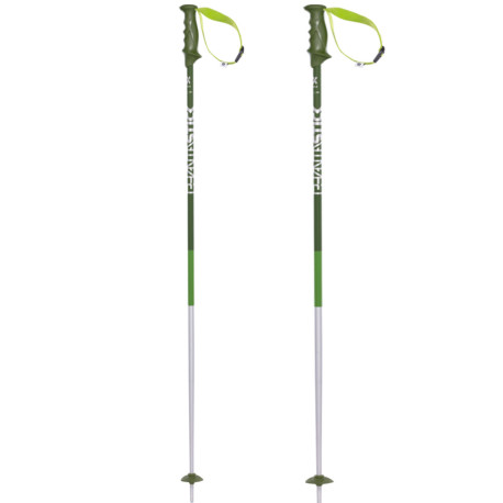 Bâtons de Ski Volkl Phantastick 2 Poles Green 2018
