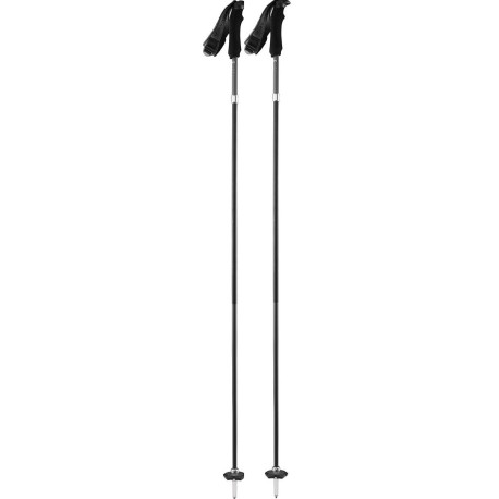 Bâtons de Ski Volant All Black 2022 