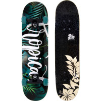Slide | Skateboard | 31-Inch | Tropical 2022
