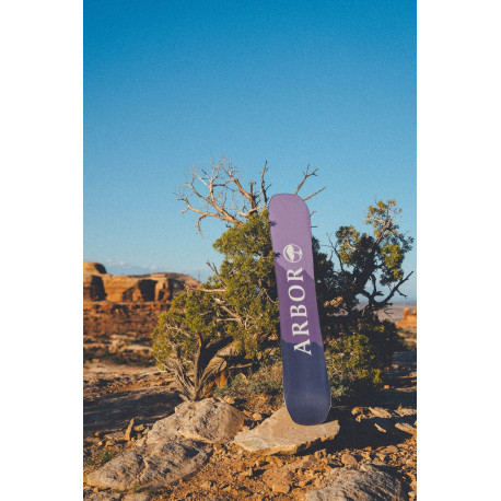 Snowboard Arbor Swoon Camber 2024 