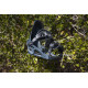 Snowboard Bindings Arbor Spruce Navy Blue 2022 