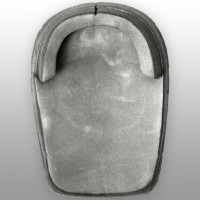 TSG Kneepads Roller Derby